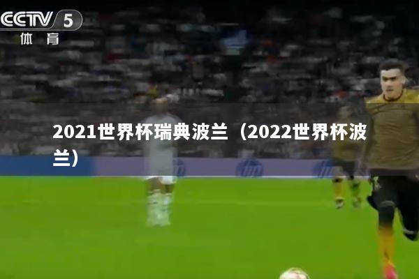 2021世界杯瑞典波兰（2022世界杯波兰）