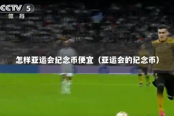 怎样亚运会纪念币便宜（亚运会的纪念币）