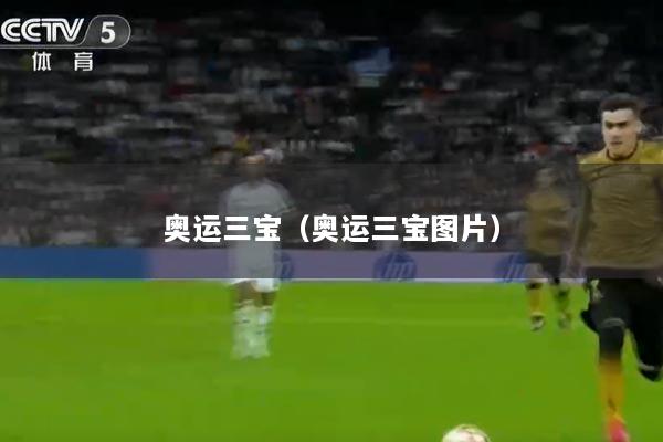 奥运三宝（奥运三宝图片）