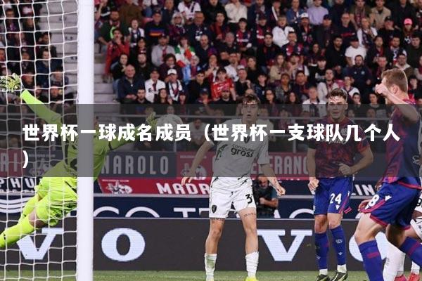 世界杯一球成名成员（世界杯一支球队几个人）