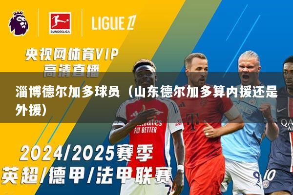 淄博德尔加多球员（山东德尔加多算内援还是外援）