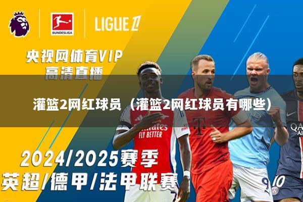 灌篮2网红球员（灌篮2网红球员有哪些）