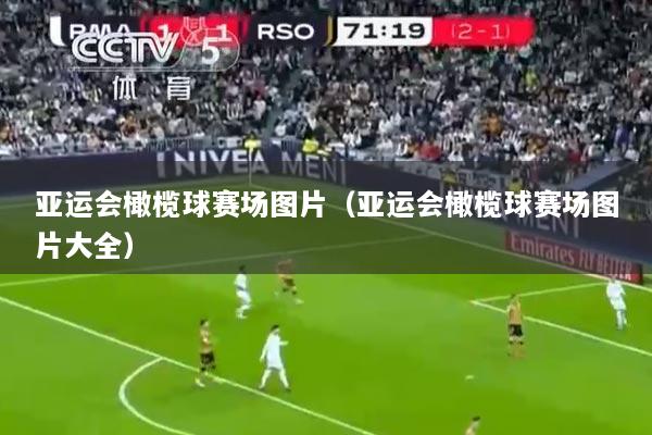 亚运会橄榄球赛场图片（亚运会橄榄球赛场图片大全）