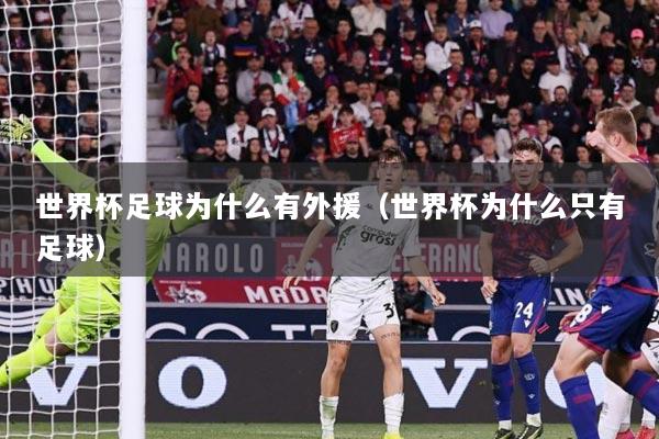 世界杯足球为什么有外援（世界杯为什么只有足球）