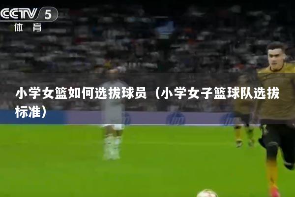 小学女篮如何选拔球员（小学女子篮球队选拔标准）